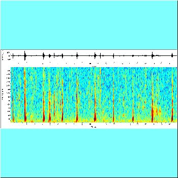 Oxydoras niger_spectrogram.png